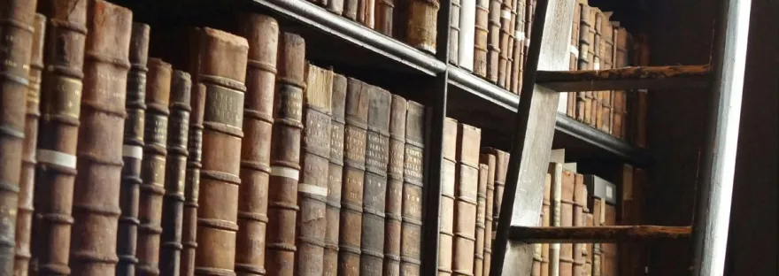 Old books on shelves with a bookcase ladder